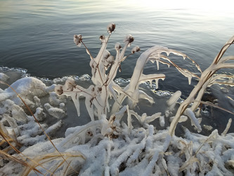 Similar image 21761700