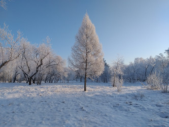 Similar image 21761707