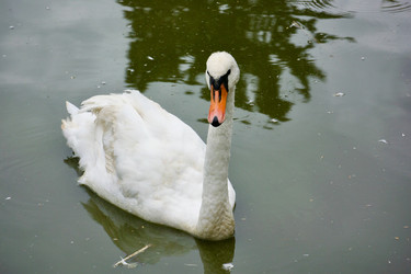 Similar image 21761724