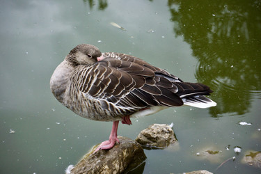 Similar image 21761726