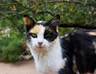 Similar image 21761728