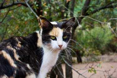 Similar image 21761729