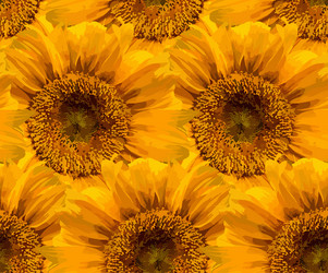 Similar image 21761733