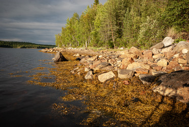 Similar image 21761735