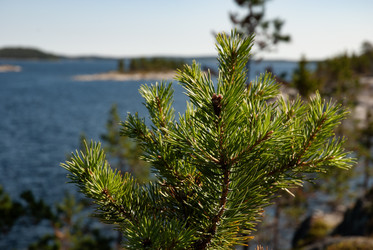 Similar image 21761741