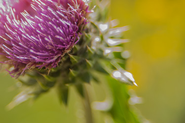 Similar image 21761779