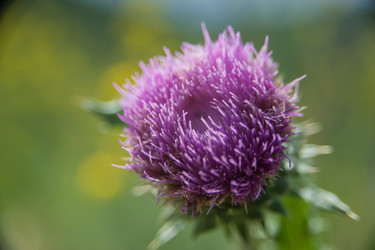 Similar image 21761780