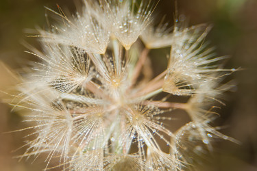 Similar image 21761782