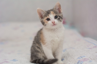 Similar image 21761788