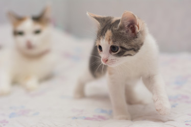 Similar image 21761792