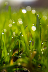 Similar image 21761794