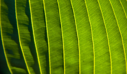 Similar image 21761799