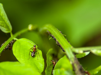 Similar image 21761806