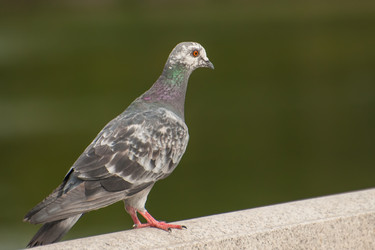 Similar image 21761811