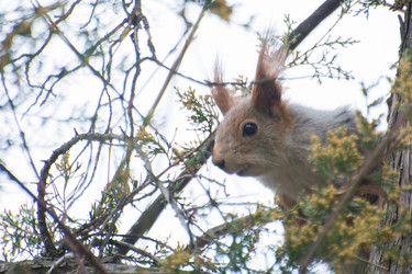 Similar image 21761812