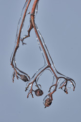 Similar image 21761836