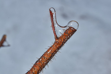 Similar image 21761837