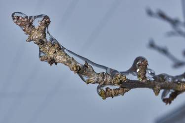 Similar image 21763349