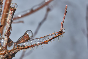 Similar image 21763350