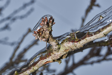 Similar image 21763351