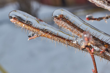 Similar image 21763352