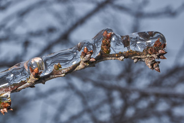 Similar image 21763353