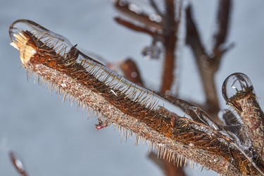 Similar image 21763354