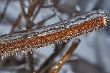 Similar image 21763356