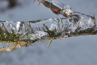 Similar image 21763359