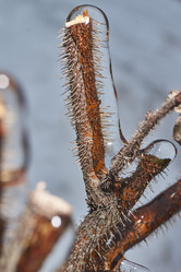 Similar image 21763360