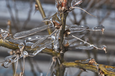 Similar image 21763361