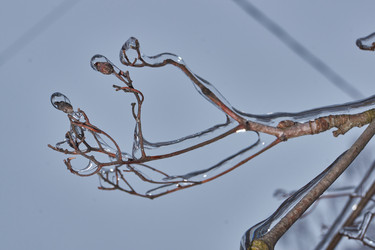 Similar image 21763362