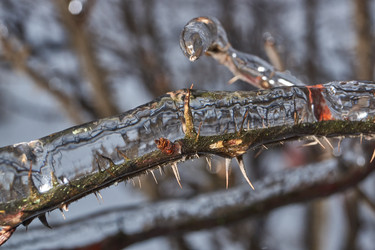 Similar image 21763363