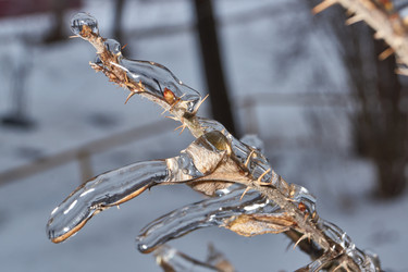 Similar image 21763364