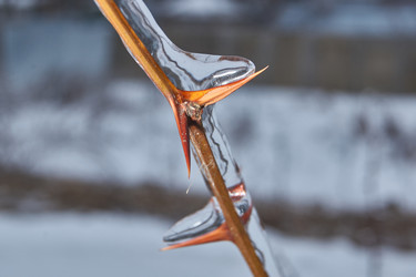 Similar image 21763365