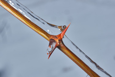 Similar image 21763366