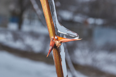 Similar image 21763367