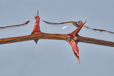 Similar image 21763368