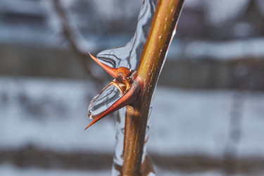 Similar image 21763370