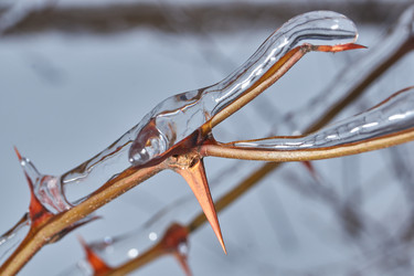 Similar image 21763371