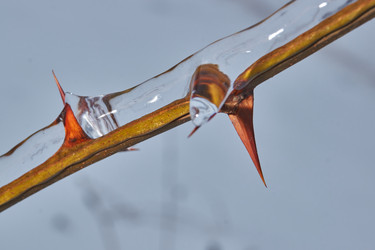 Similar image 21763372