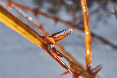 Similar image 21763374