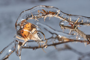 Similar image 21763375