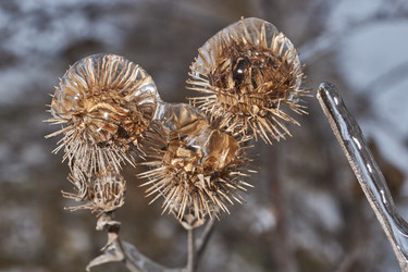 Similar image 21763376