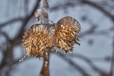 Similar image 21763378