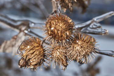 Similar image 21763379