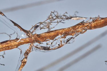 Similar image 21763381