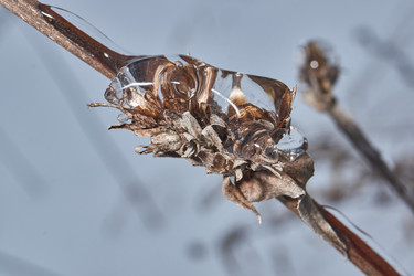 Similar image 21763383