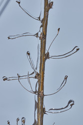 Similar image 21763384