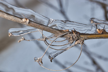 Similar image 21763385